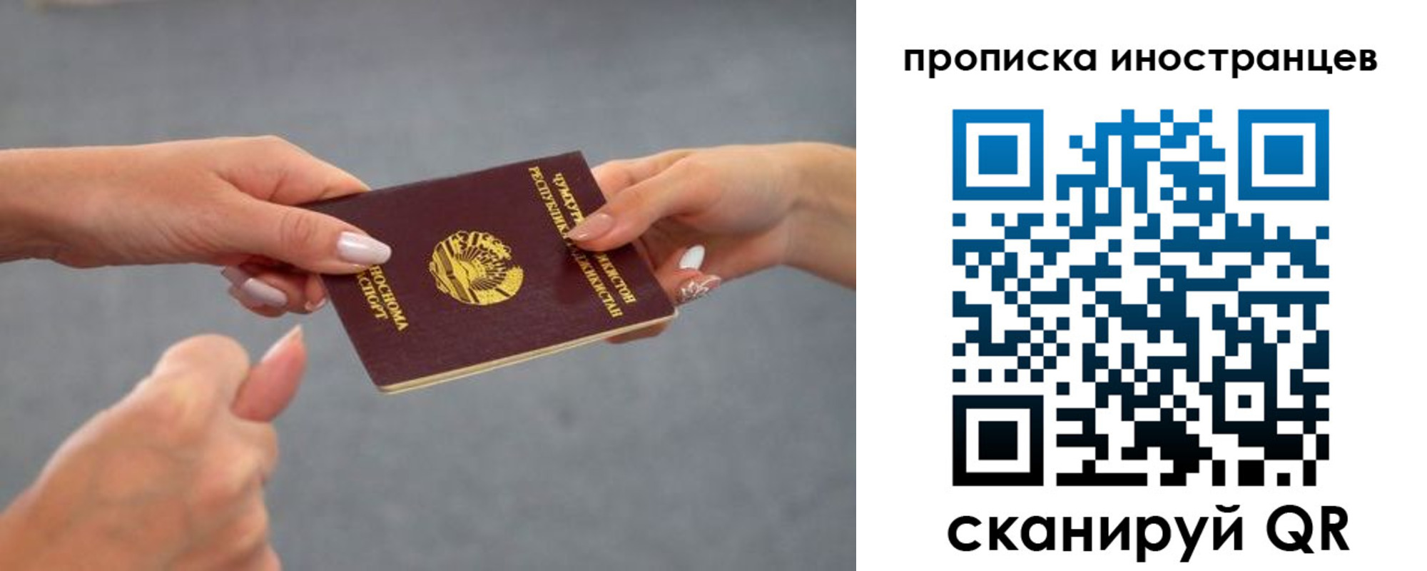 где прописаться в Светогорске